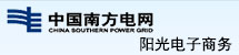 中国南方电网-阳光电子商务
